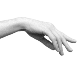 human hand